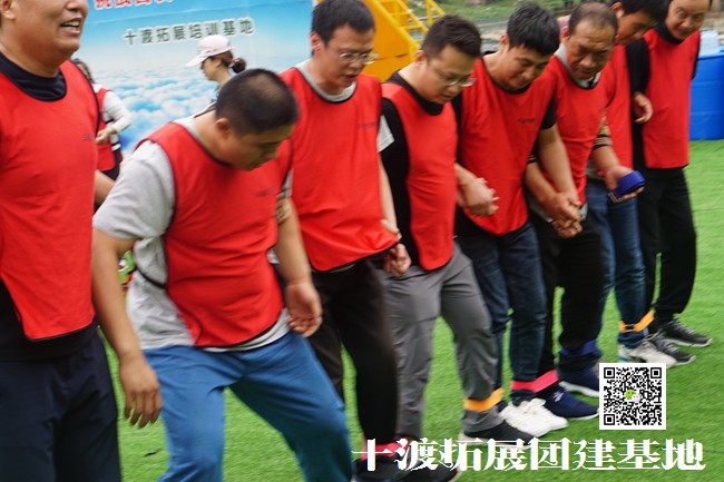 如何选择适合篮球康复训练的器材_1